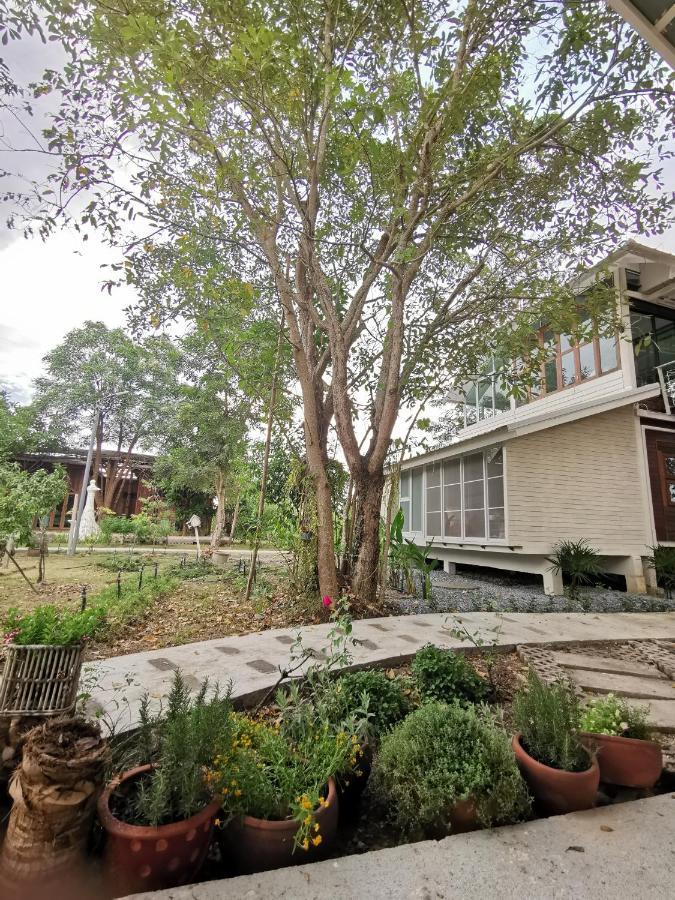 Baangaimuan Bed & Breakfast Lamphun Eksteriør bilde