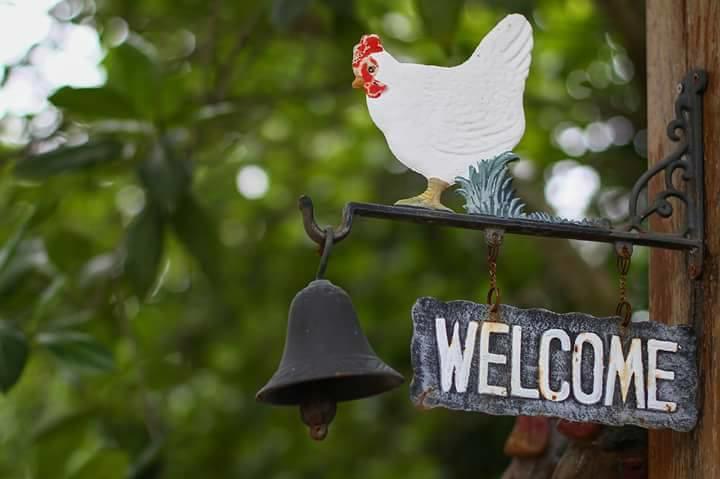 Baangaimuan Bed & Breakfast Lamphun Eksteriør bilde